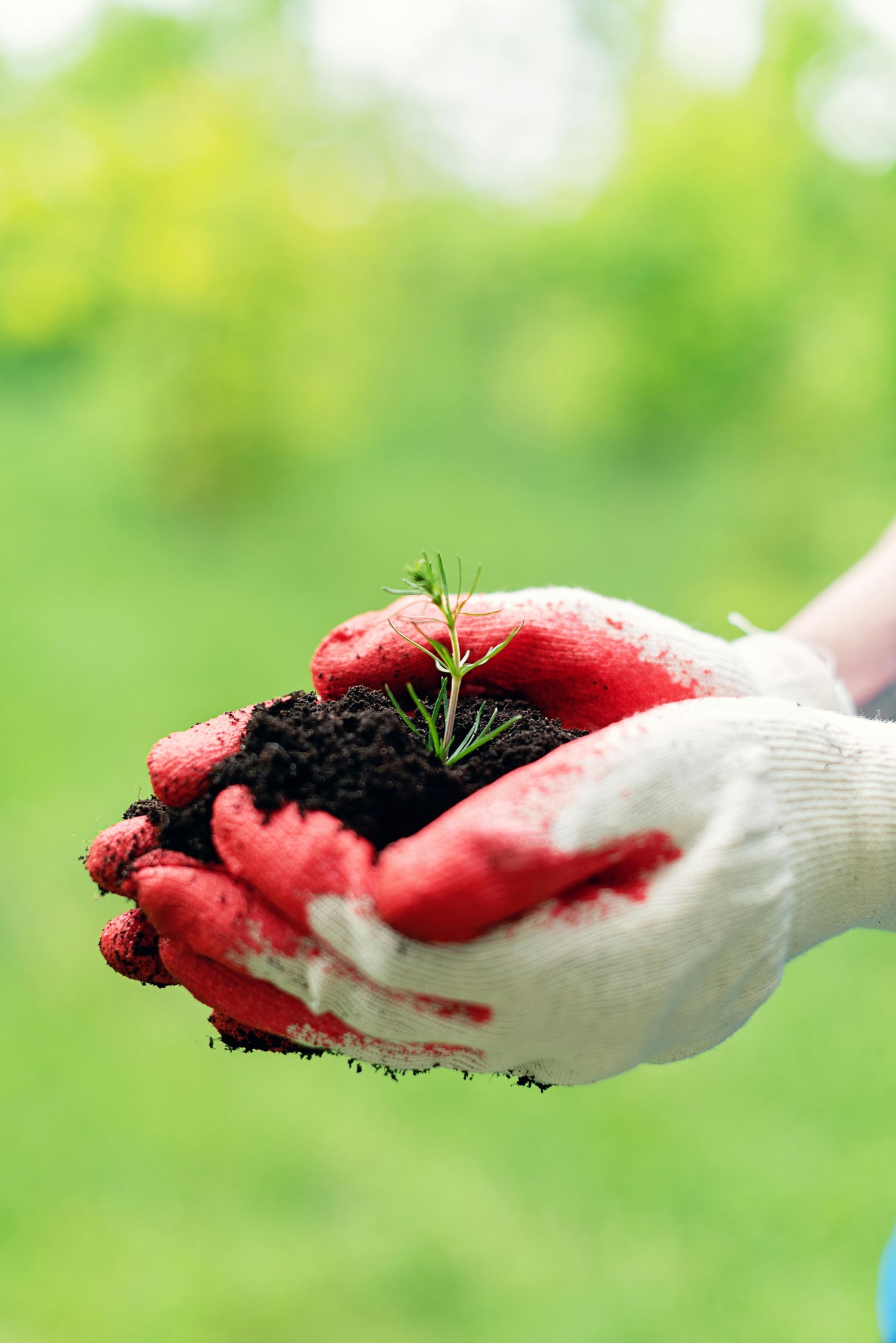 Gardening Gloves